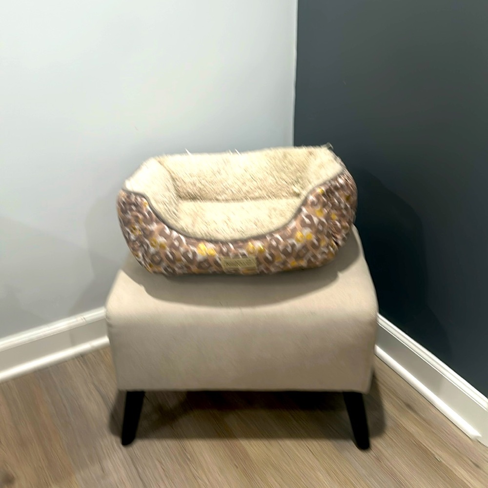 Pooch Planet Small Dog or Cat Bed